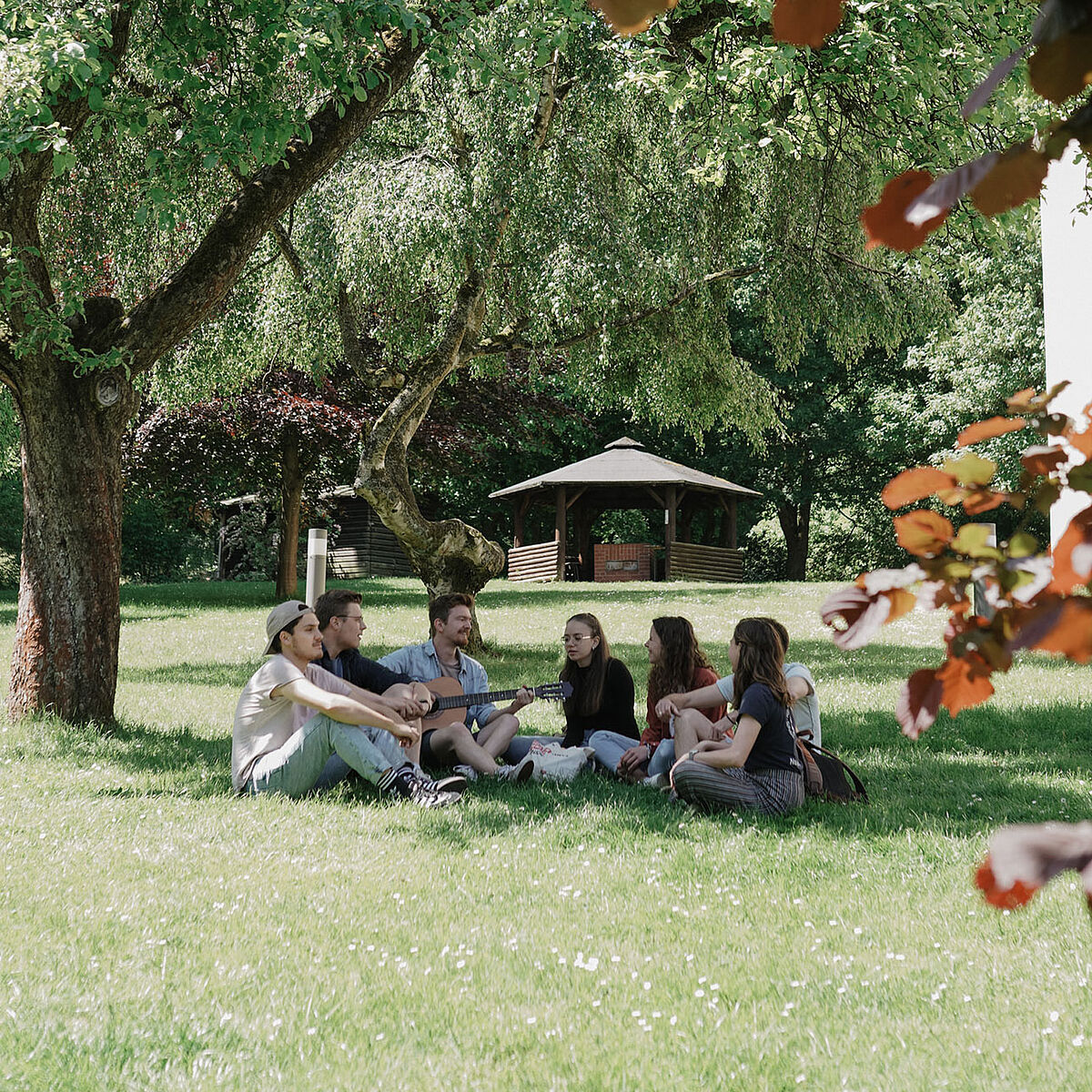 Studierende singen auf eine Wiese